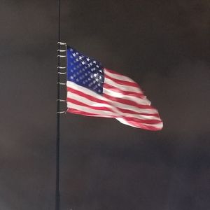 Meet your Posher, Bill